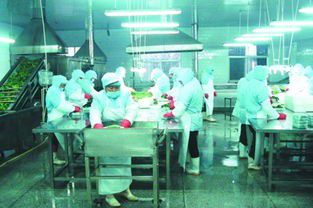 國內(nèi)最成功的 山寨 認為正品質(zhì)量太差,因此收購正品公司