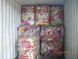 寵物再生技術(shù)與代理記賬 創(chuàng)新科技與專業(yè)服務(wù)的融合