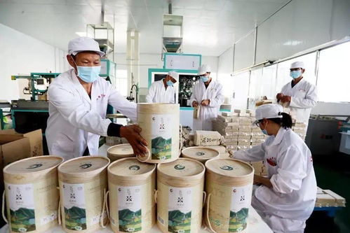 谷香飄萬里，增收靠大米 大額資金如何助力產(chǎn)業(yè)騰飛